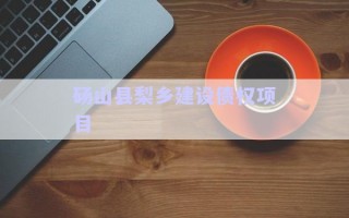碭山縣梨鄉建設債權項目